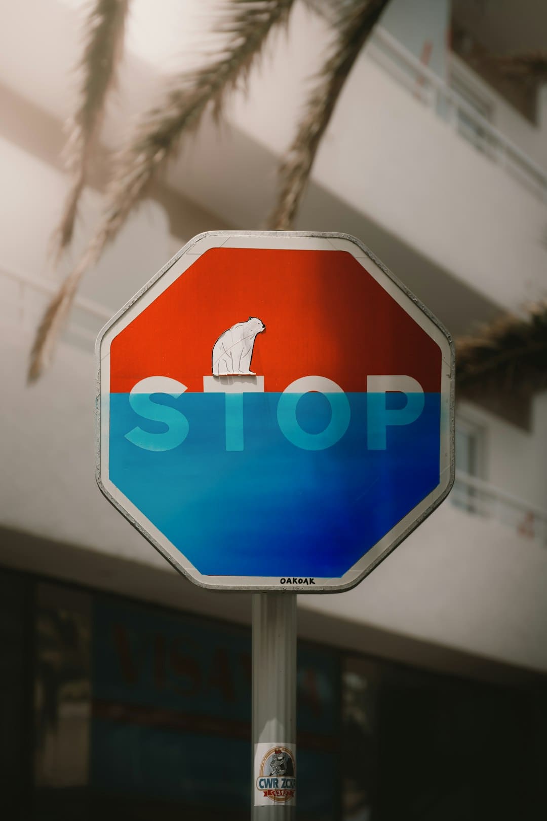 谁撑起暑期档100亿票房?